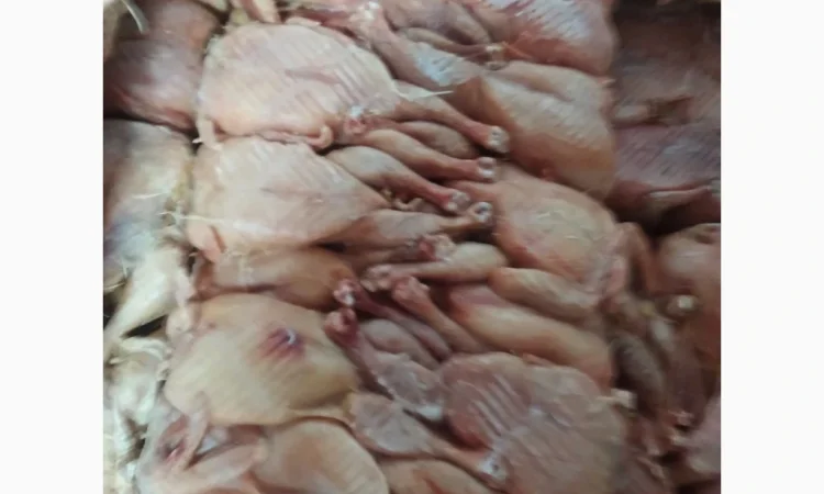 Продам тушку бройлера - фото № 1