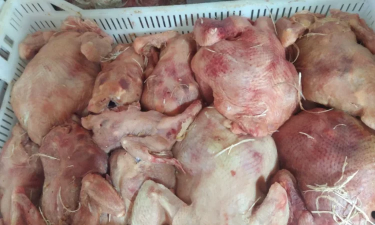 Продам тушку бройлера - фото № 2