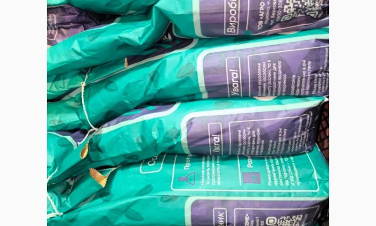 НС Х 6749 соняшник - фото № 1