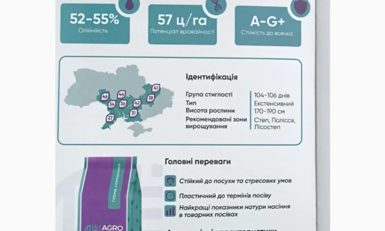 Насіння соняшника НС-Х 8005 7 - фото № 1