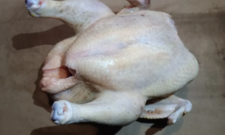 Продаємо туші бройлерів - фото № 1
