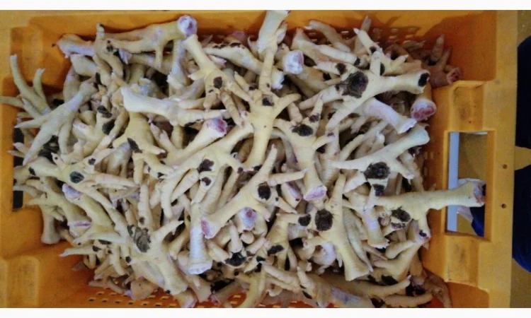 Продам лапки куринные от производителя с 5 тонн по Украине - фото № 2