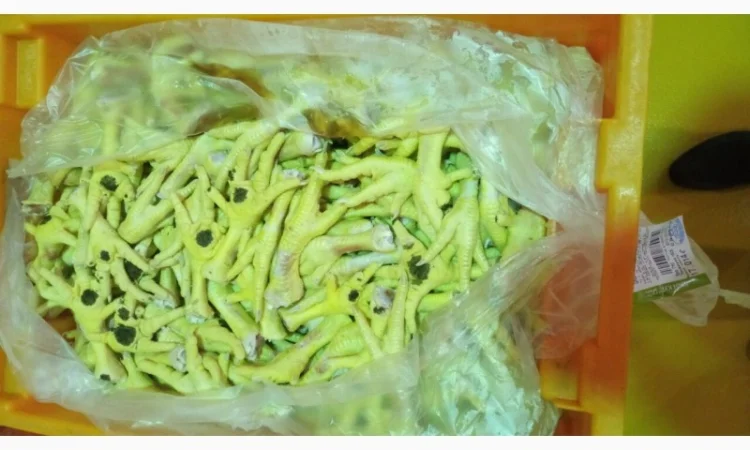 Продам лапки куринные от производителя с 5 тонн по Украине - фото № 3