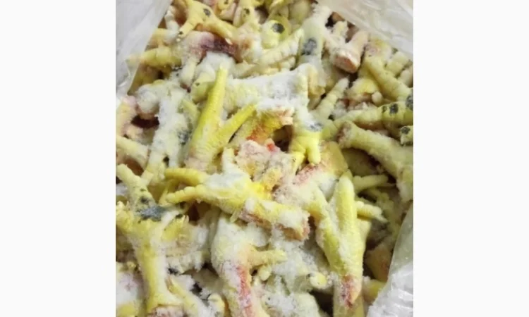 Продам лапки куринные от производителя с 5 тонн по Украине - фото № 4