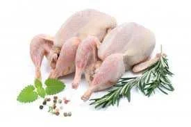 Тушка перепела на продажу - фото № 1