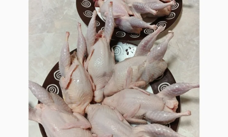 Мясо молодых перепелок на продажу - фото № 1