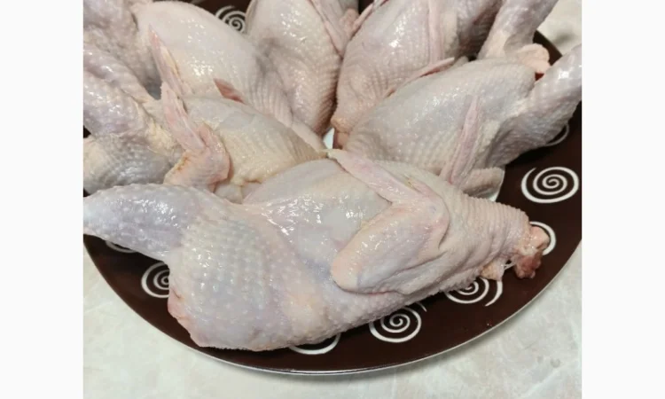 Мясо молодых перепелок на продажу - фото № 2