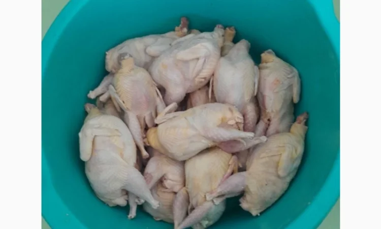 Мясо молодых перепелок на продажу - фото № 3