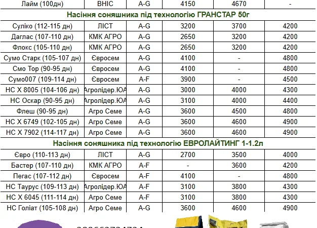 Насіння соняшнику - фото № 1
