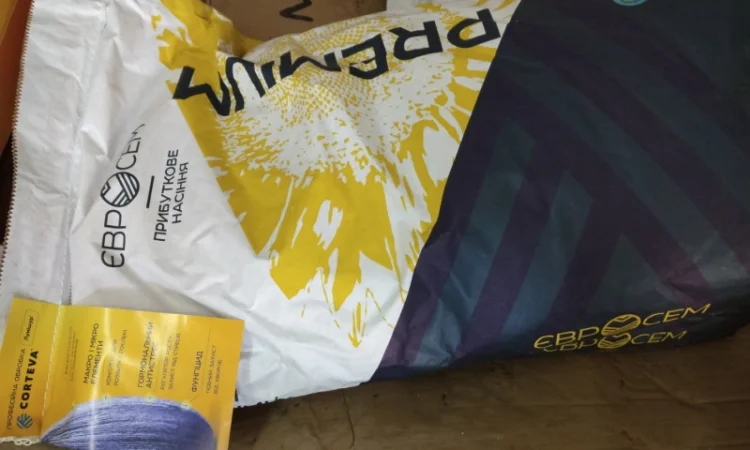 Продам насіння Соняшнику Пегас (Clearfield) - фото № 2