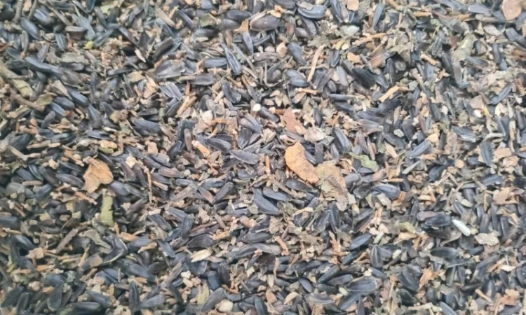 Купимо отходи соняшника - фото № 3