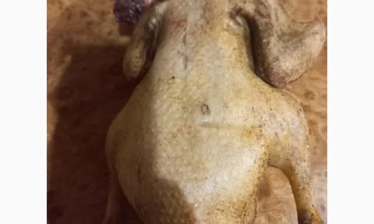 Продаются тушки домашних уток - фото № 3