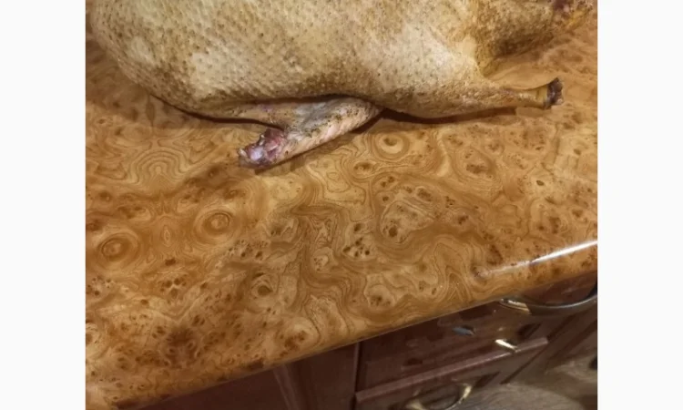 Продаются тушки домашних уток - фото № 4