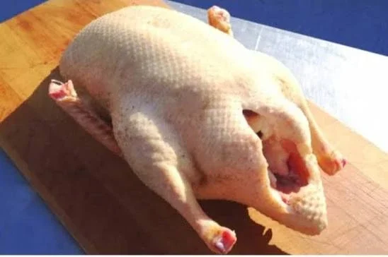 Пропонується жива качка на постійній основі - фото № 1