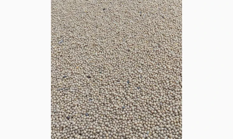 Купую сою ГМО та НЕ ГМО - фото № 1