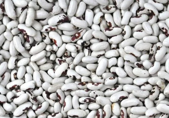 Продаж високоякісної квасолі з доставкою - фото № 1