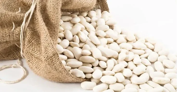 Насіння квасолі Наутіка - І репродукція - фото № 1