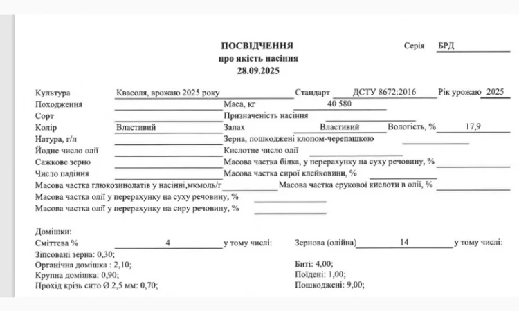 Продамо квасолю білу врожаю 2025 року - фото № 3