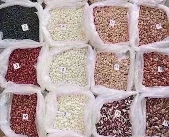 Квасоля в асортименті. Відвантаження від 5 тонн - фото № 1