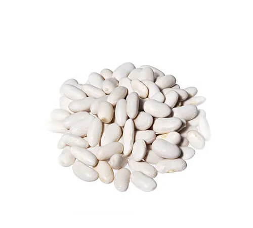 Насіння білої та кольорової квасолі в асортименті - фото № 1