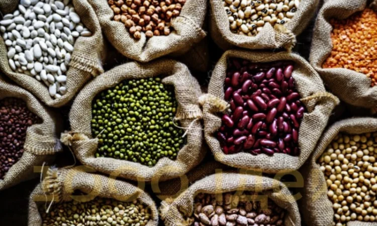 Насіння квасолі. Посівмат квасолі - фото № 1