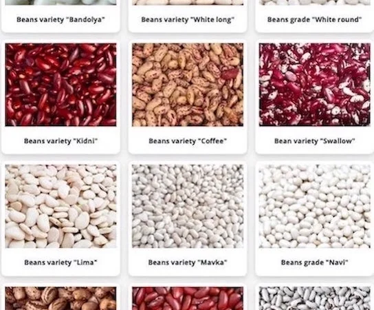 Сортова квасоля оптом. Є ПДВ - фото № 1