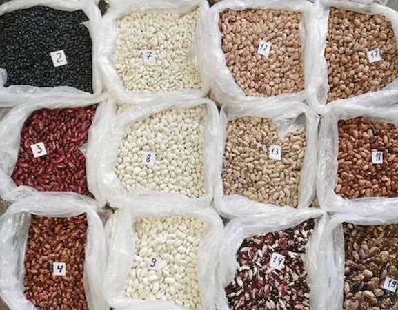 Квасоля на продаж. 20 сортів квасолі в асортимені - фото № 1