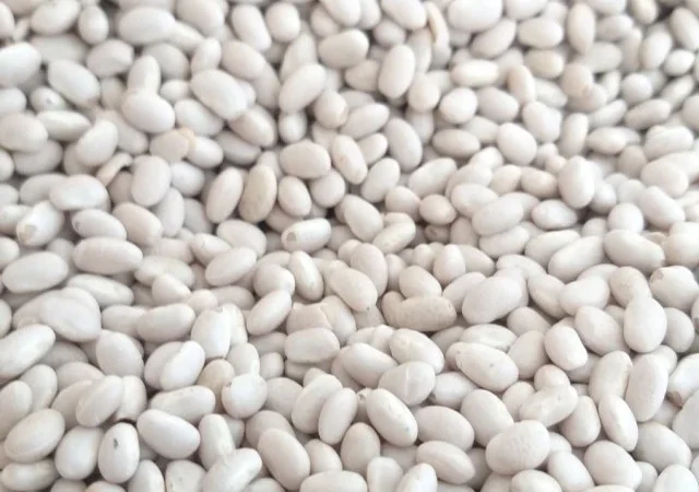 Квасоля: Ліма - фото № 1