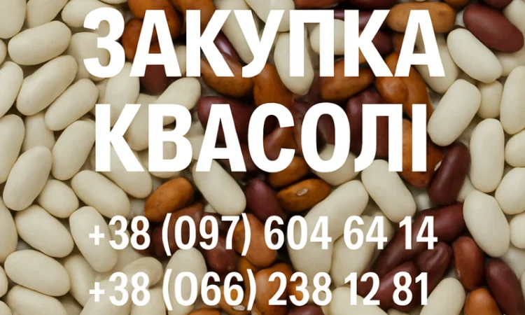 Покупаем фасоль разных сортов - фото № 1