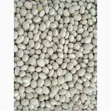 Приймаємо квасолю на переробку - фото № 1