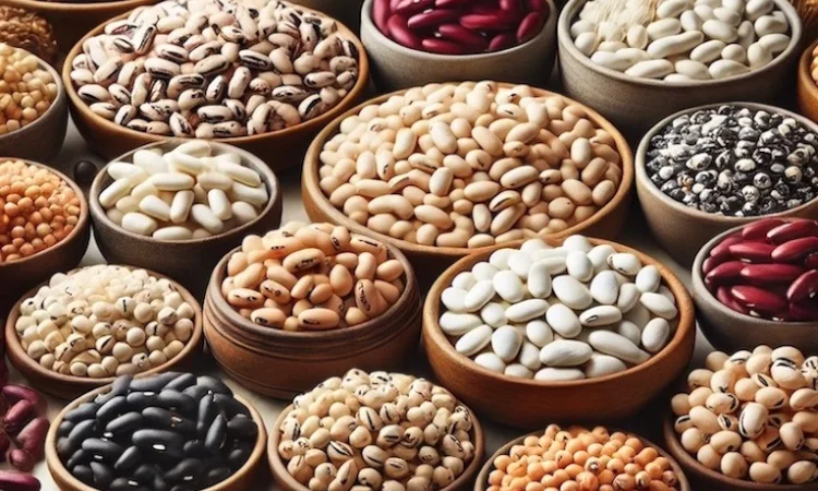 Закуповуємо квасолю. Приймаємо різні сорти - фото № 1