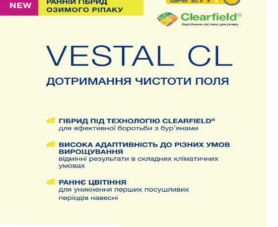 Насіння озимого ріпаку VESTAL CL (ВЕСТАЛ КЛ) - фото № 1
