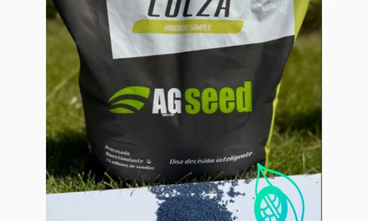 Насіння озимого ріпаку під різні технології обробітку - фото № 1