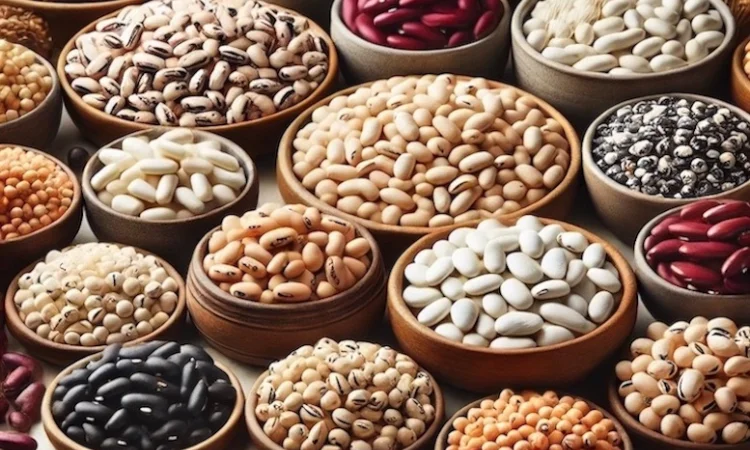 Купуємо квасолю. Приймаємо різні сорти - фото № 1