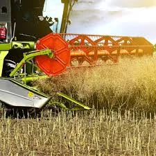 Куплю РІПАК по всій Україні - фото № 1