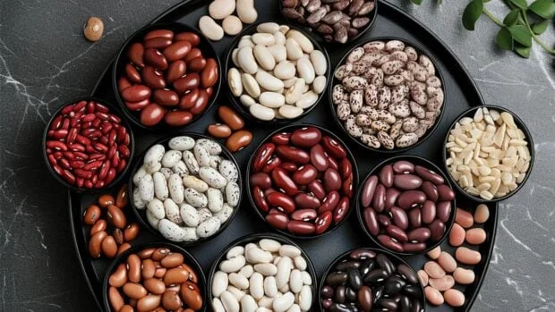 Купуємо білу та кольорову квасолю для переробки - фото № 1