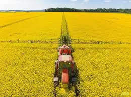 Закуповуємо Ріпак не ГМО по всій Україні - фото № 1