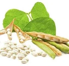 Насіння квасолі Неві Бінс - фото № 1