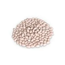 Насіння квасолі – Неві Бінс - фото № 1