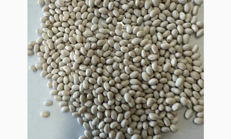 Продам фасоль белую на экспорт.Sale of white beans 99.9% - фото № 1