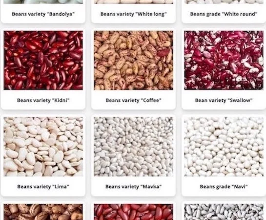 Сортовая фасоль оптом. Доставка по Украине - фото № 1