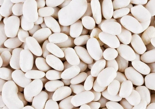 Сортовая фасоль от лидера рынка - более 20 сортов в наличии - фото № 1