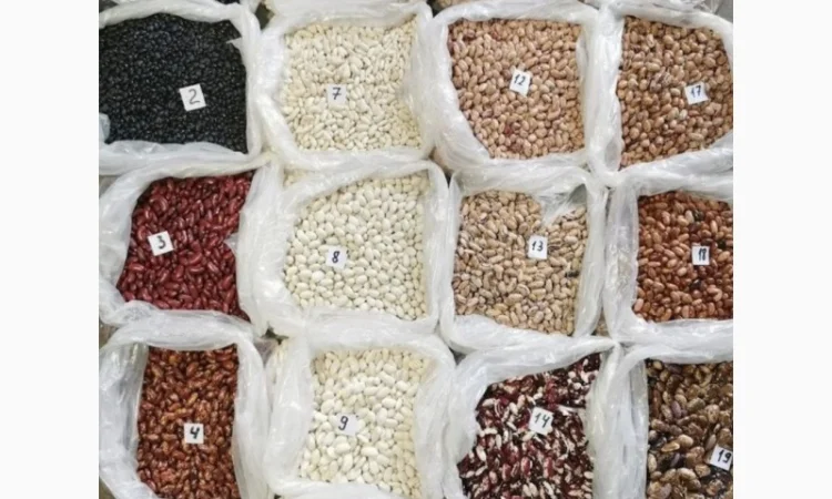 Продам квасолю є всі види - фото № 1