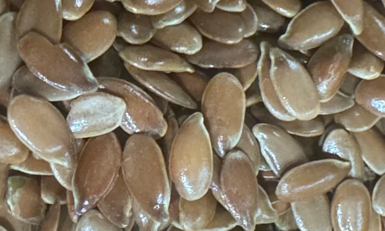 Насіння льону - фото № 1