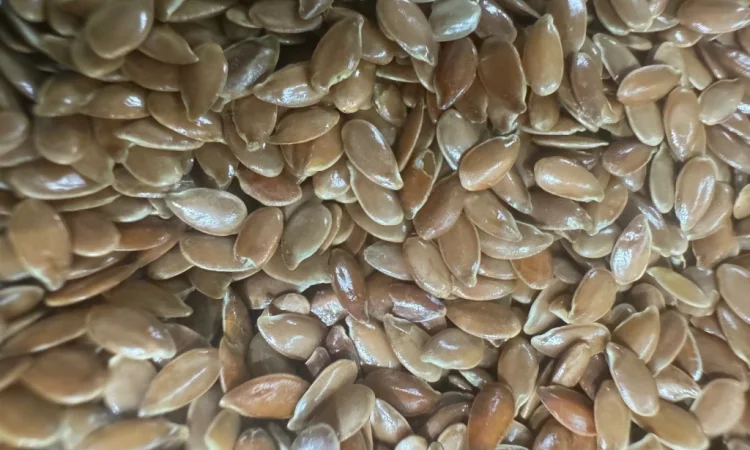 Насіння льону - фото № 2