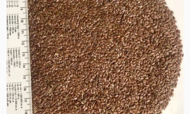 Купуємо льон - фото № 1