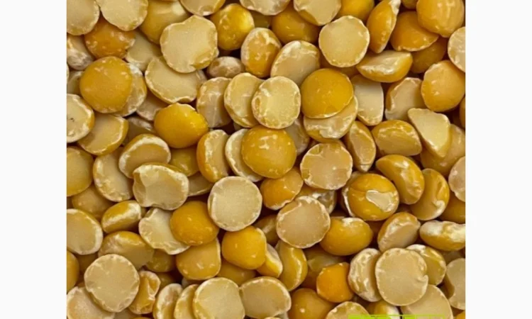 Покупаем горох. Высокие цены от производителя - фото № 1