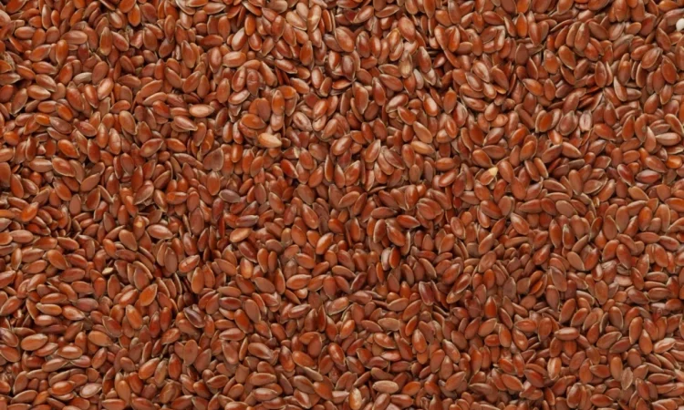 Льон коричневий очищений 99 - фото № 1