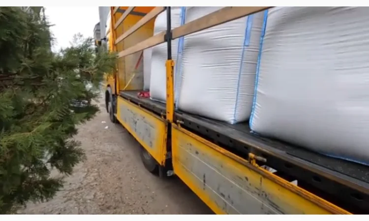 Льон нового врожаю 2025 року - фото № 1