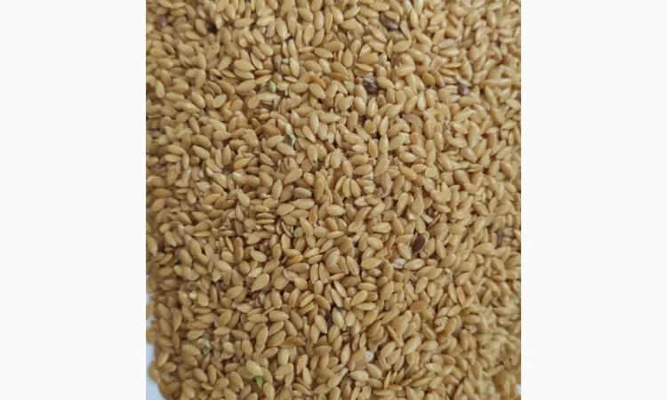 Продам льон золотистий (жовтий) - фото № 1